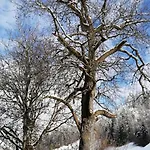 Apartamento Emmental Ferien By Interhome Baerau