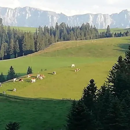 Emmental Ferien By Interhome 아파트 *