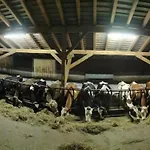 Emmental Ferien By Interhome Baerau